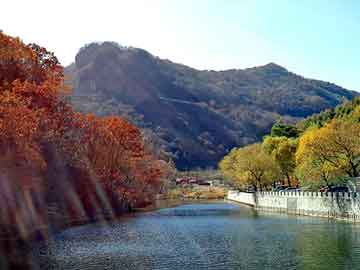 新澳门二四六天天彩，东风景逸论坛